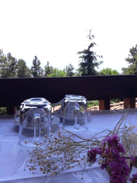 Chardak Apartments Ohrid Ngoại thất bức ảnh